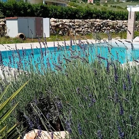 Villa Miro, Stupenda Villa Con Piscina Privata Castellammare del Golfo Exteriör bild